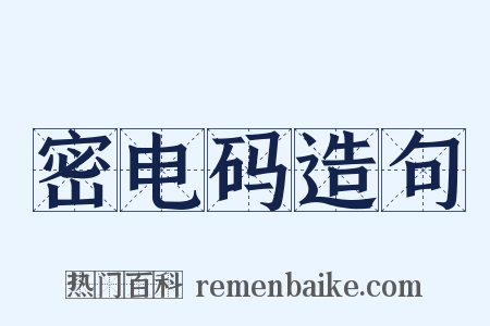 密电码造句是什么意思的图片